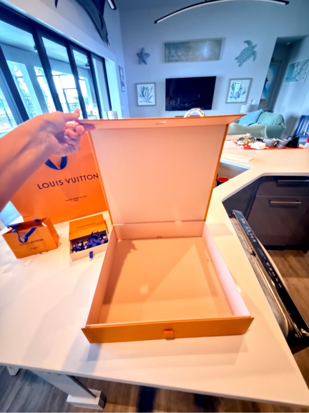 Louis Vuitton Orange Bag and box lot